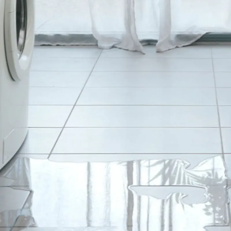 Appliance Leak Cleanup in Marbury, AL