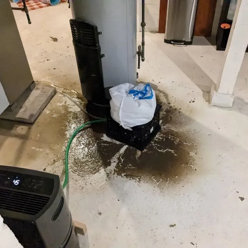 Sewage Backup Cleanup Service in Marbury, AL